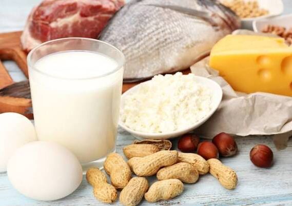 Các sản phẩm từ sữa, cá, thịt, các loại hạt và trứng - chế độ ăn kiêng của chế độ ăn kiêng protein